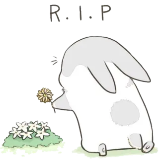 🙏 R.I.P królik, smutny, śmierć, kwiat, słodki, kreskówka telegram sticker