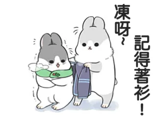 🧣 凍呀~ 記得著衫! królik, zimno, zima, słodki, zajączek, ubrania telegram sticker