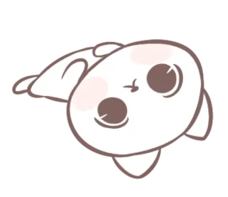 🙃 animal, fofo, gato, animado telegram sticker