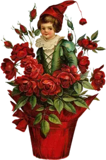 🌹 vintage, bambino, rose, rosso, fiori, elfo whatsapp sticker