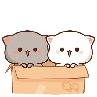⭐ cats, animals, cute, box telegram sticker