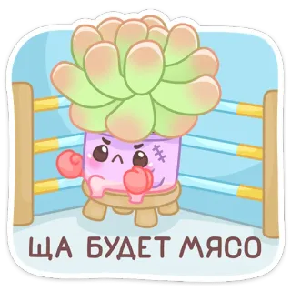 👊 ЩА БУДЕТ МЯСО растение, бокс, суккулент, мультфильм, наклейка whatsapp sticker
