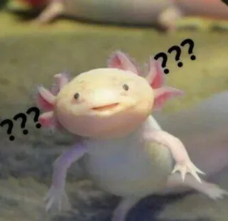 ❓ ??? アホロートル, 質問, 混乱, 動物, ミーム telegram sticker
