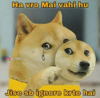 😶 Doge Ha vro Mai vahi hu Jise sb ignore krte hai telegram sticker