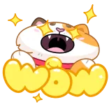 🤩 WOW kat, wow, verrassing, schattig, dier, blij telegram sticker