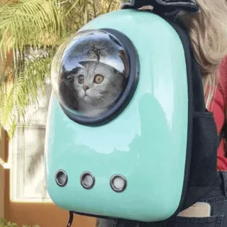 👨‍🚀 cat, backpack, pet carrier, travel, animal, cute, domestic cat telegram sticker