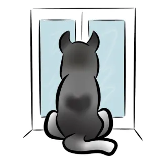 🏠 anjing, husky, jendela, menunggu, kesepian, hewan peliharaan, hewan, kartun telegram sticker