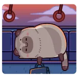 😴