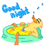 😴 Good night 오리, 잠, 휴식, 목욕, 동물, 잘자요 telegram sticker