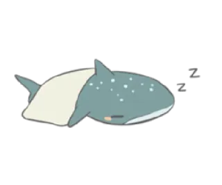 😴 dormir, tubarão, animal, fofo, sonolento, travesseiro, tubarão-baleia telegram sticker