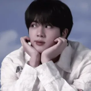🌟 Jin kpop, bts, idol, cantante, musica, maschio, ritratto telegram sticker