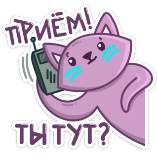 📞 ПРИЁМ!
ТЫ ТУТ? cat, phone, russian, sticker telegram sticker