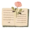 📖