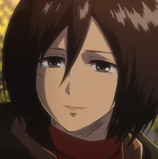 ❤️ Mikasa Ackerman Attack on Titan อนิเมะ, เศร้า, ร้องไห้, มิคาสะ, แอคเคอร์แมน, ผ่าพิภพไททัน whatsapp sticker