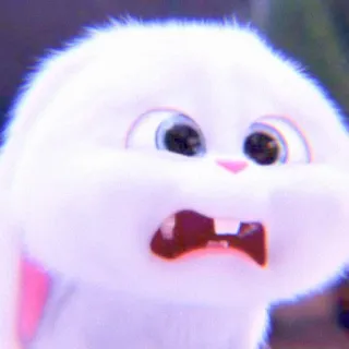 🐰 Snowball The Secret Life of Pets kelinci, kartun, lucu, bola salju, hewan peliharaan, hewan, kelinci telegram sticker