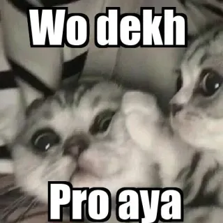 😳 Wo dekh
Pro aya kot, mem, śmieszne telegram sticker