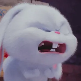 🍓 Snowball The Secret Life of Pets กระต่าย, บันนี่, สีขาว, สัตว์, การ์ตูน, ตัวละคร telegram sticker