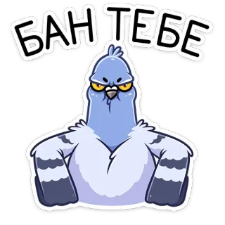 ⛔️ БАН ТЕБЕ pájaro, paloma, enojado, texto, ruso, prohibición, meme telegram sticker