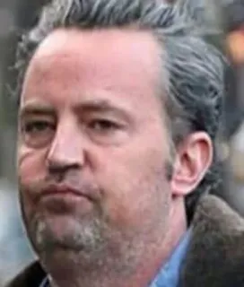 😒 Matthew Perry actor, celebrity, portrait, man, Matthew Perry telegram sticker