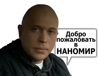🌐 Добро пожаловать в НАНОМИР telegram sticker