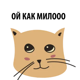 😆 gato, animal, fofo, adesivo, desenho animado telegram sticker