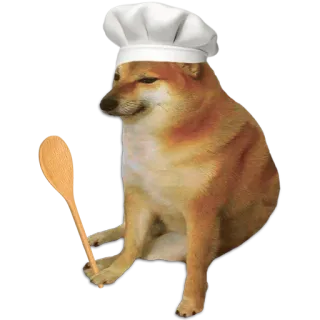 👨‍🍳 犬, シェフ, 料理, スプーン, ミーム telegram sticker