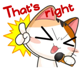 🎤 That's right chat, pouce levé, positif, oui, joie, mignon, animal whatsapp sticker