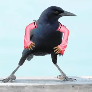 🐦 Aves Con Brazos 😂 telegram stickers