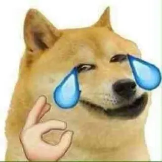 😂 doge doge, ok hand, emoji, meme, hond telegram sticker