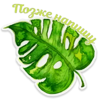 🌿 Позже напишу leaf, plant, text, russian, later, sticker telegram sticker