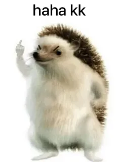 😠 haha kk hedgehog, middle finger, funny, meme, animal, joke, offensive whatsapp sticker