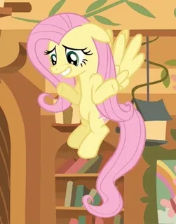 😬 Fluttershy My Little Pony poni, kuning, sayap, kartun, animasi, ramah, imut telegram sticker