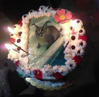 🎂 cake, birthday, cat, floppa, candles, celebration telegram sticker