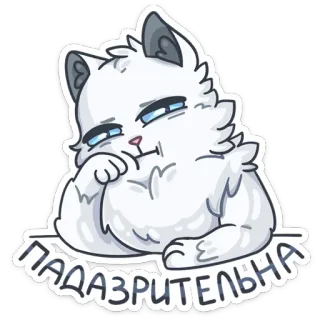 😐 ПОДОЗРИТЕЛЬНА cat, suspicious, cute, white, meme telegram sticker