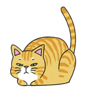 🐈 cat, animal, pet, orange, striped, cartoon telegram sticker