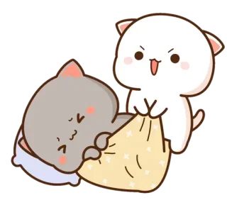 ✨ mèo, động vật, dễ thương, chăn, chơi telegram sticker