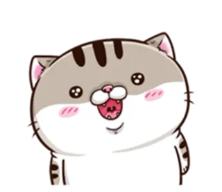 🤩 Katze, Kätzchen, süß, Tier, Haustier, Cartoon, glücklich whatsapp sticker