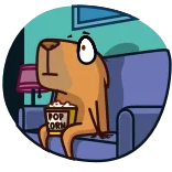 Jonny Сapybara whatsapp stickers