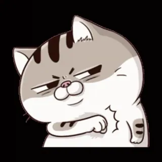 ✊ mèo, hoạt hình, tự mãn, động vật, thú cưng, biểu cảm whatsapp sticker