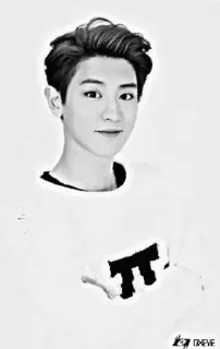 🥀 THE EVE kpop, exo, park chanyeol, chanyeol, chanteur, idole telegram sticker