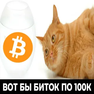 😋 ВОТ БЫ БИТОК ПО 100К chat, bitcoin, cryptomonnaie, mème, vœu, drôle telegram sticker