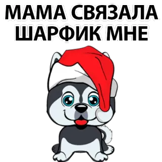 🙈 МАМА СВЯЗАЛА ШАРФИК МНЕ dog, puppy, christmas, scarf, santa hat, cute, holiday telegram sticker