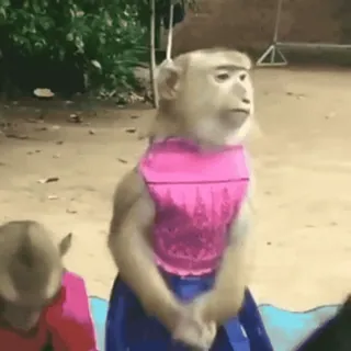 ❣️ monkey, animal, clothing, cute, funny whatsapp sticker