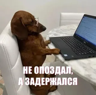 😉 НЕ ОПОЗДАЛ, А ЗАДЕРЖАЛСЯ dog, glasses, laptop, waiting, late, procrastination, humor, meme telegram sticker