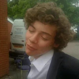 🍩 Harry Styles harry styles, musician, celebrity, one direction, singer, portrait, person telegram sticker