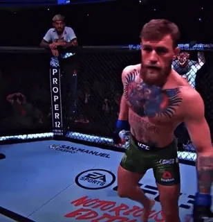 🤢 Conor McGregor Conor McGregor, MMA, UFC, walka, sport, sporty walki telegram sticker