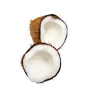 🌰 coconut, food, fruit, tropical telegram sticker