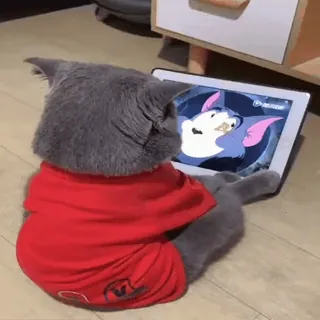 🐈 кот, животное, мультфильм, питомец, сидит, планшет whatsapp sticker