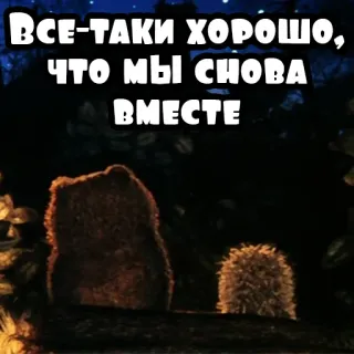 💑 ВСЕ-ТАКИ ХОРОШО, ЧТО МЫ СНОВА ВМЕСТЕ animals, bear, hedgehog, russian, togetherness telegram sticker