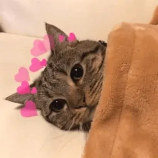 😚 telegram sticker
